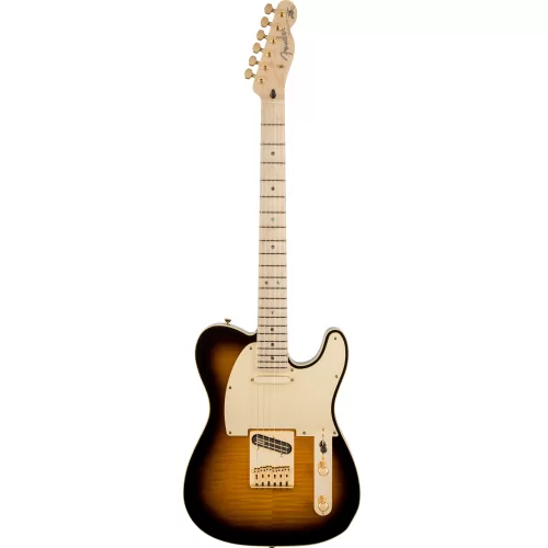 Fender Richie Kotzen Telecaster Maple Brown Sunburst 0255202532