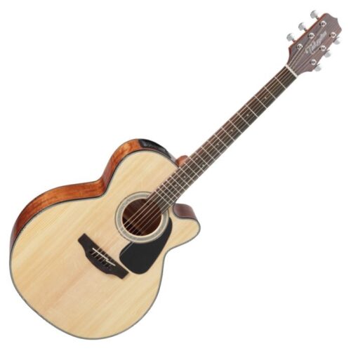 TAKAMINE NEX DREADNOUGHT NATURAL