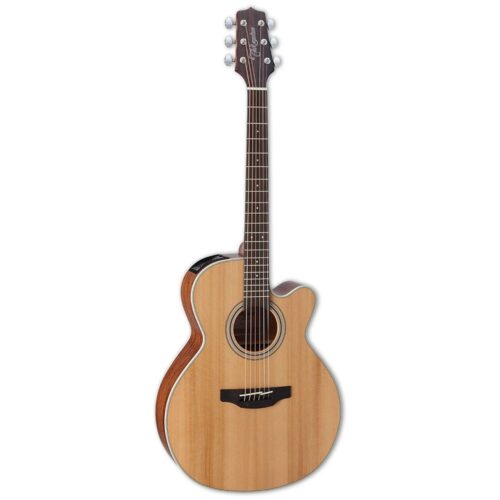 TAKAMINE GN20-NS