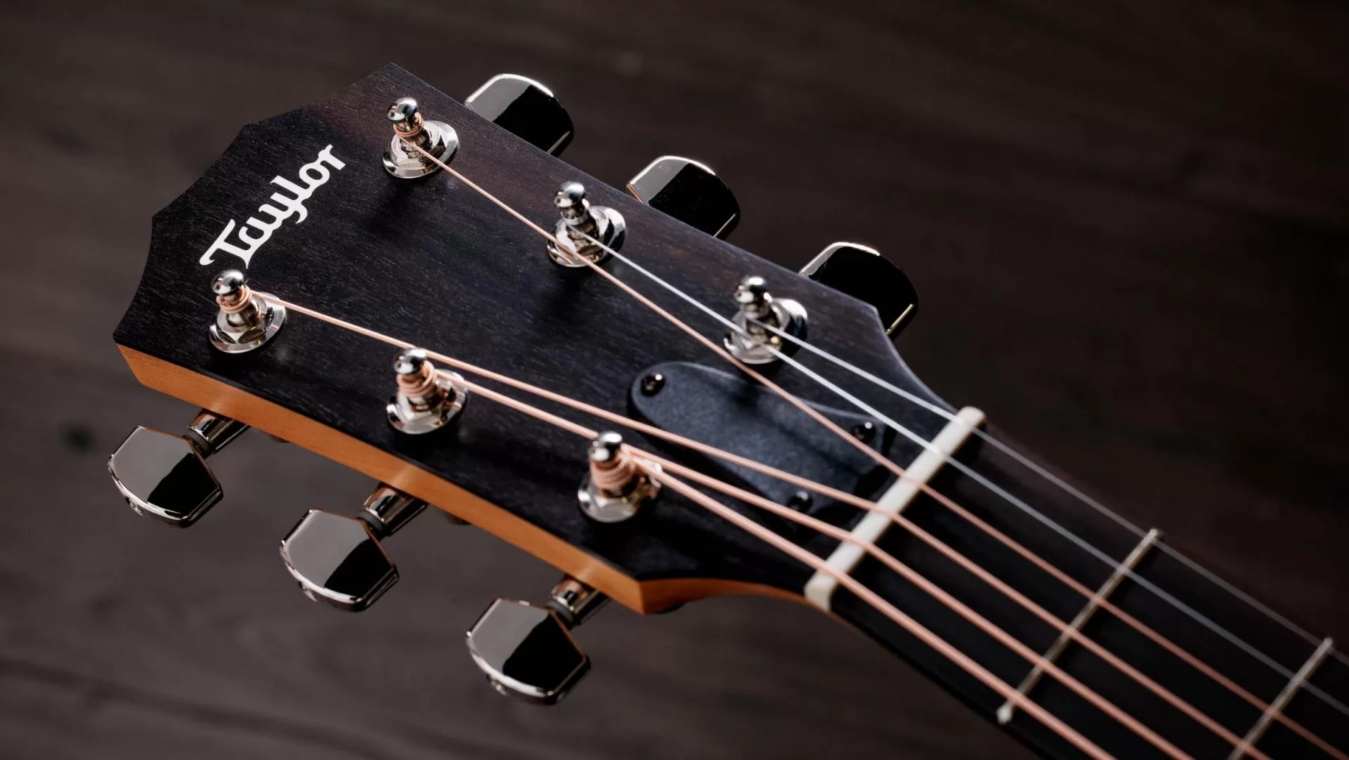 Guitarra Electroacústica Taylor 214ce Plus - Imagen 8