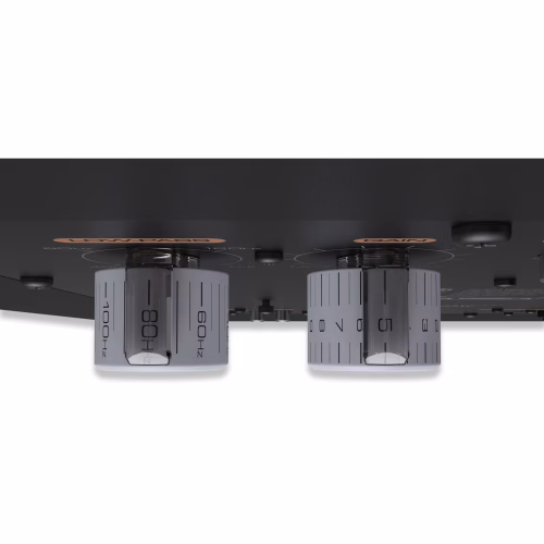 Panel trasero del Klipsch RP‑1000SW con controles de audio