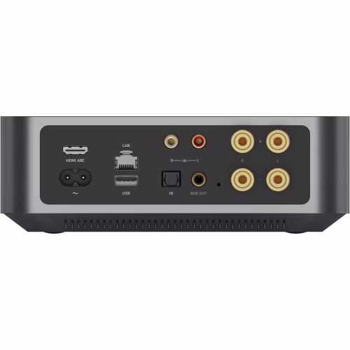 Panel trasero del WiiM Amp Silver con HDMI ARC y entradas de audio