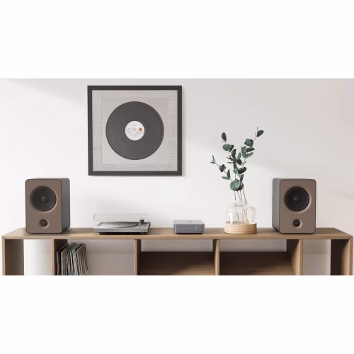 WiiM Amp Silver mostrando su tamaño compacto