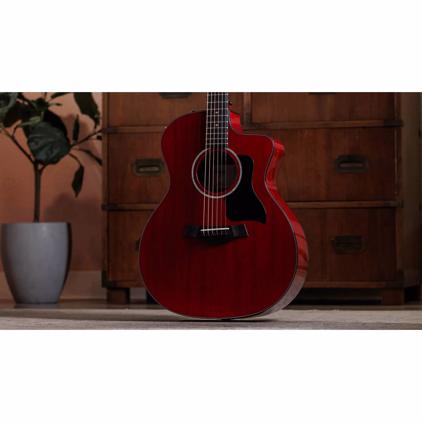 Guitarra Electroacústica Taylor 224ce Plus Special Edition Trans Red - Imagen 3